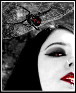 blackwidow21