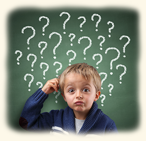 Questions of the Whole Mind