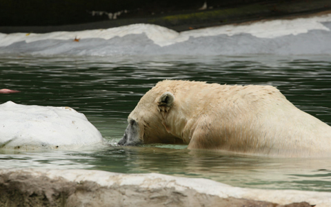 Photo: Extinction crisis signals that it's time to change course