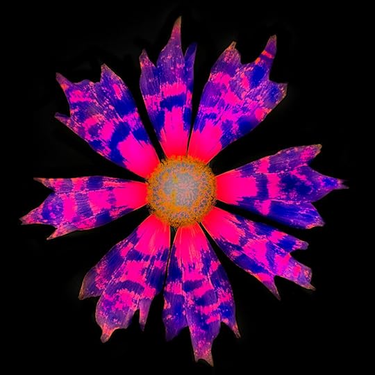 LAB Floral Inversion © Harold Davis