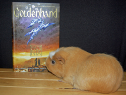 Starlight Reads!