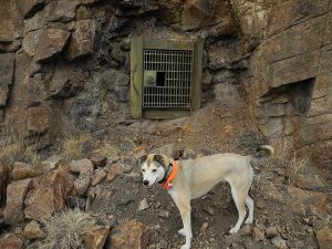 Mine Vent Tunnel, Victor CO