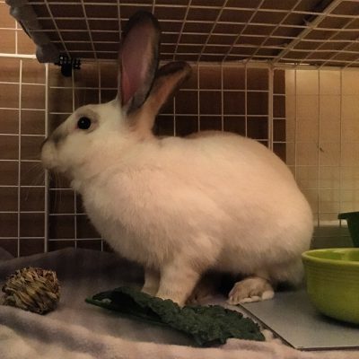 Here he is. Home at last.