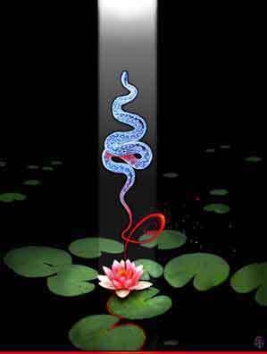 Serpent Energy
