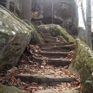 pounds-hollow-6