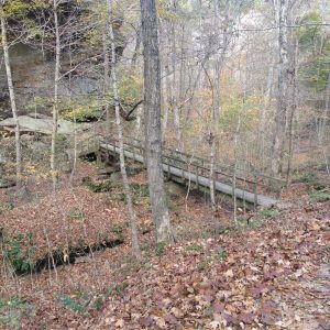 pounds-hollow-2