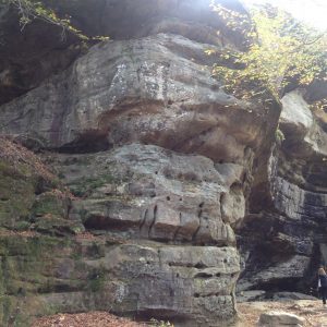 pounds-hollow-3