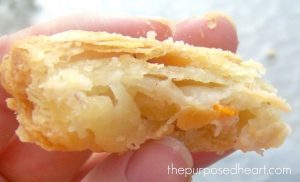 flakypiecrust1