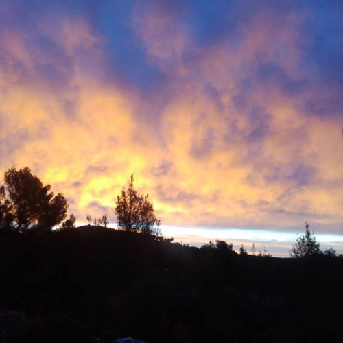 Daybreak
