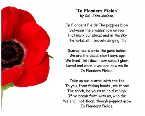 In Flanders Fields