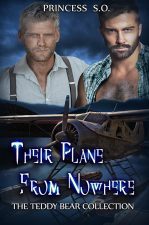 theirplanefromnowhere-reduced-500x700