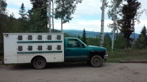 Dog Truck