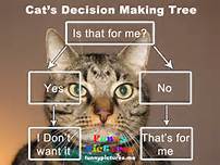 decision