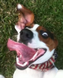 penny-crazy