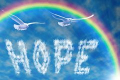Word-hope-sky-under-rainbow-blue-two-seagulls-flying-above-concept-new-beginning-optimism-50998606