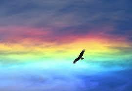Rainbow and hawk or eagle
