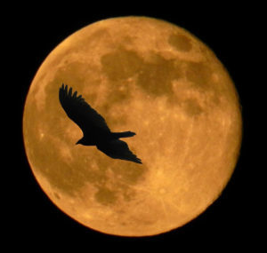 supermoon