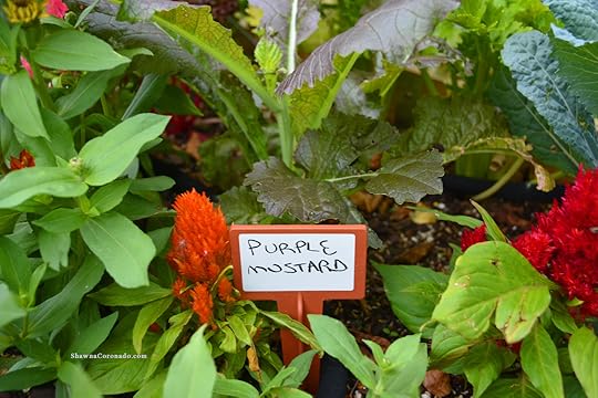 BioMarker in terracotta