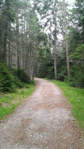 fd140716thepath