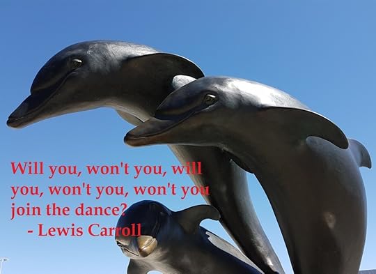 dolphins