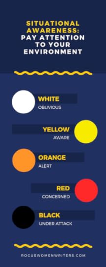 situational awareness (roguewomenwriters.com)