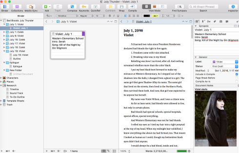 Scrivener Double Screen