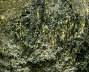 Auriferous, uraninitic, hydrocarbon-rich stromatolite rock