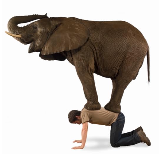 Screen Shot 2016-08-17 at 8.02.31 PM