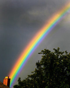 Spirituality Can Fight Post Election Despair