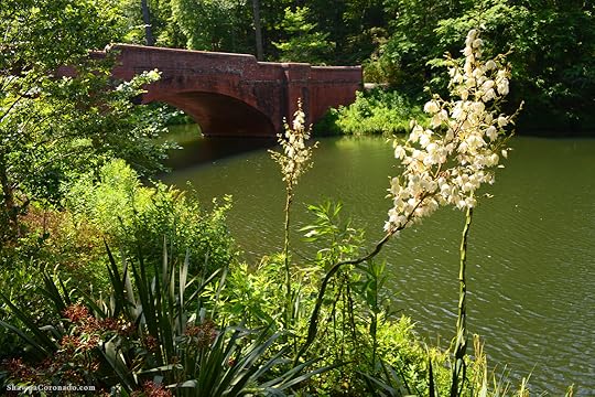 Biltmore Estate Bridge View
