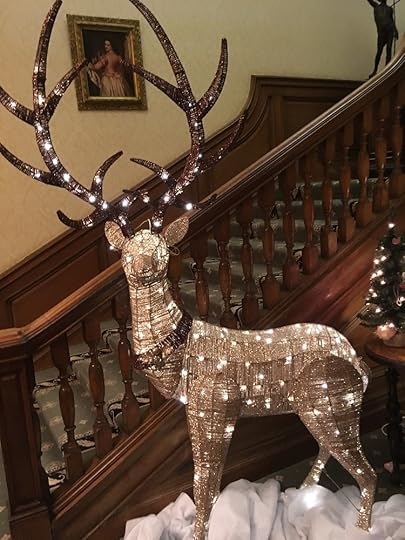 hotel-stag