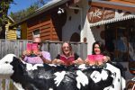 cow-pic-9