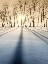 snow