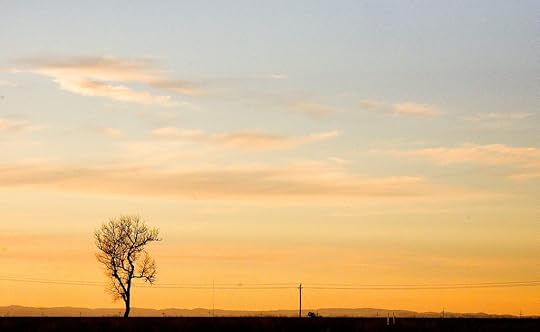 Sacramento Sunset