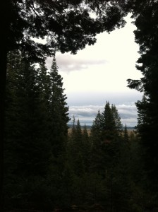 Evening fell, with no elk or bear, but a great sense of God's goodness and beauty. The hunt was worth it all.