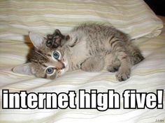 fd3f2e5edecfcb0a37452b0b38ce8b55