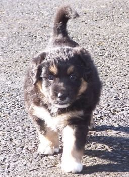 Adie striding through the world, at 6 weeks. 
