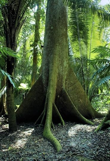 A root presupposes a tree, doesn't it?