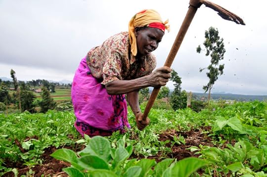 A farmer at work by Neil Palmer, public domain via Wikimedia Commons