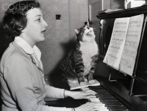 Singing Cat On Piano