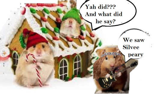 zmed-bbbbbbbubb290909