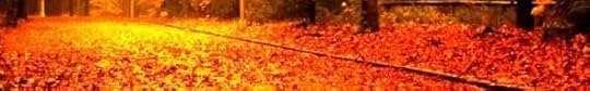 aaa