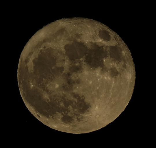 Supermoon Nov 14, 2016