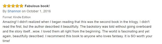 sunteri-review1