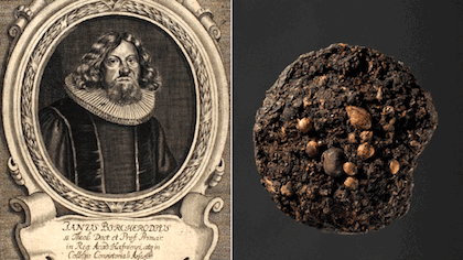 bishop-and-lump