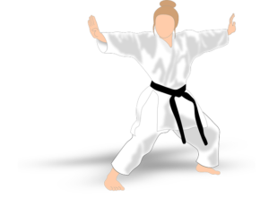 kata-155283_640
