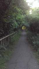 aaa