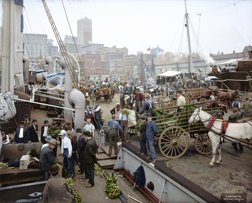 banana docks new york ca 1890 to 1910 colorized by marina amaral