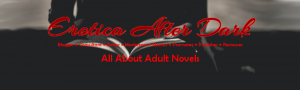 banner_pro_blogger