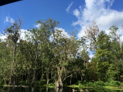 silversprings2